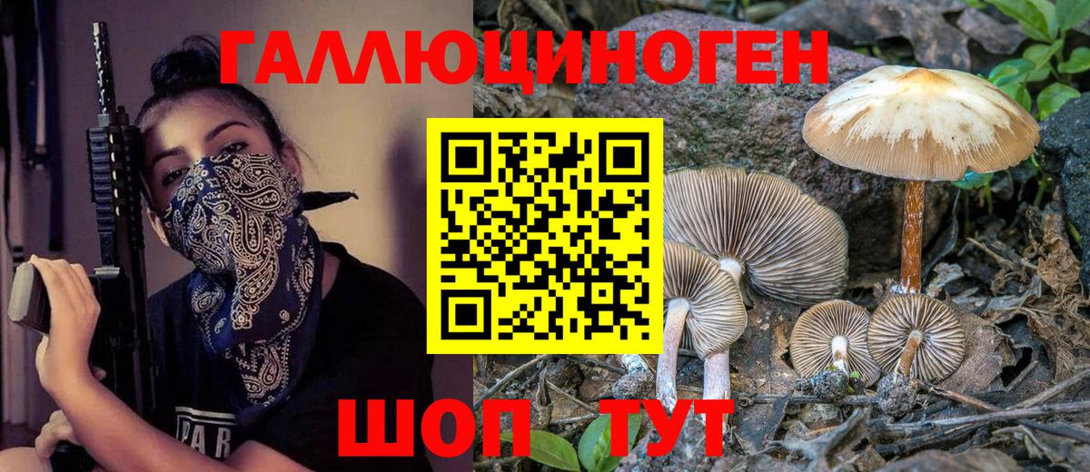 Галлюциногенные грибы Psilocybine cubensis  Псилоцибиновые грибы прущие грибы  Казань  Вход с VPN 