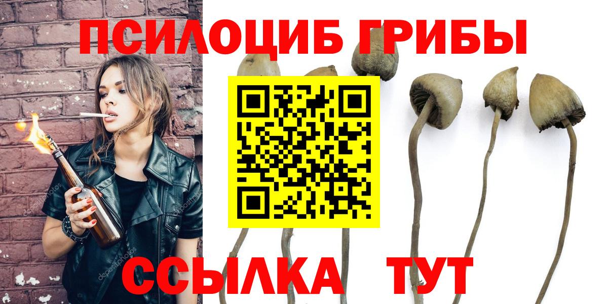 Галлюциногенные грибы Psilocybe Казань